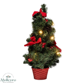 The Grange Collection LED 10-Light Christmas Tree 50cm- MG1-  Kirkwood Mulligans of Ballaghaderreen