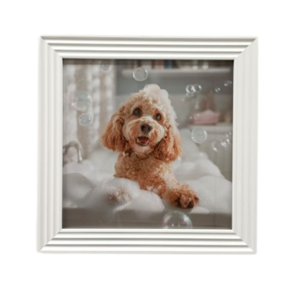 The Stonewall Gallery Framed Picture Bubble Bath Dog ZH53 Kirkwood Mulligans of Ballaghaderreen