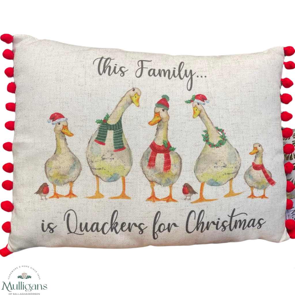 'This Family is Quackers for Christmas' Festive Cushion - Mulligans of Ballaghaderreen 