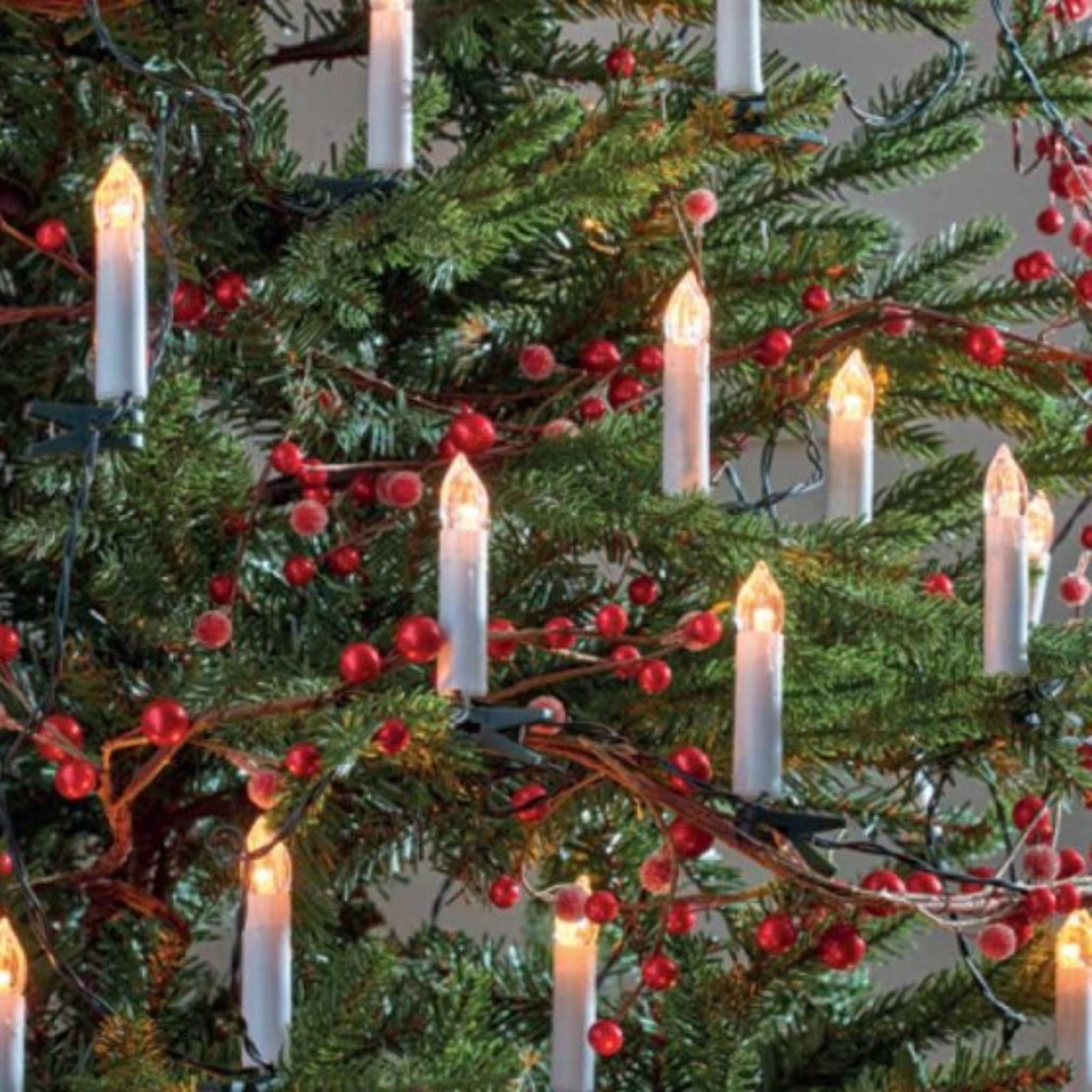 Tree Candles - Set of 50 2514105 Smart Garden Christmas Mulligans of Ballaghaderreen