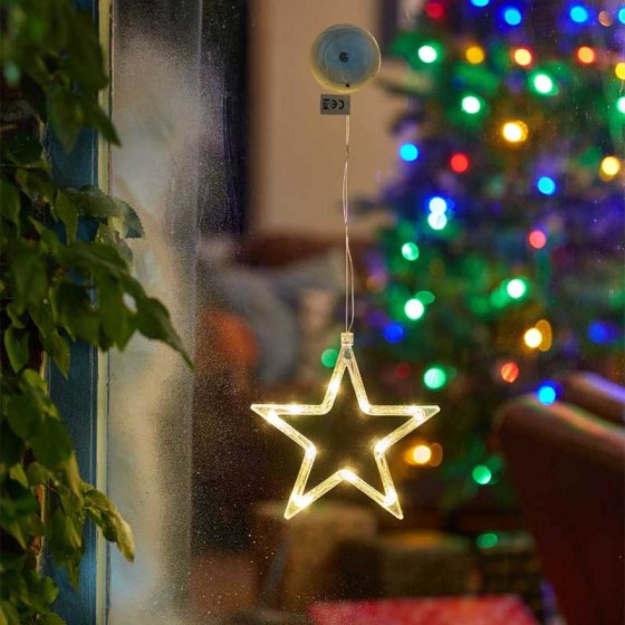 WindoDecor Star - Warm White 2532097 Smart Garden Christmas Mulligans of Ballaghaderreen